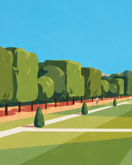 Les grands arbres taillés en bloc le long de l'allée, avec un petit cône de verdure au 1er plan