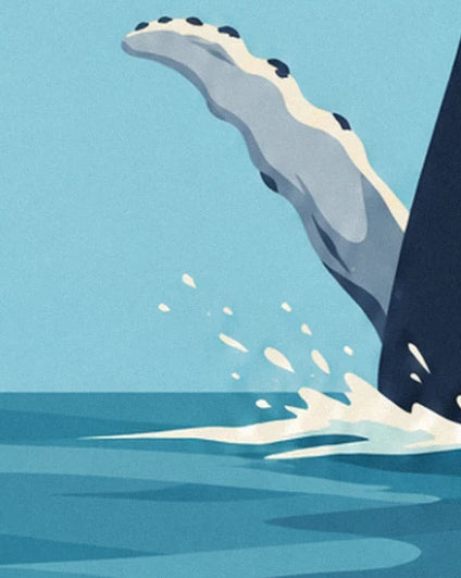 The whale’s pale flipper, edged with small bumps, above the splashes