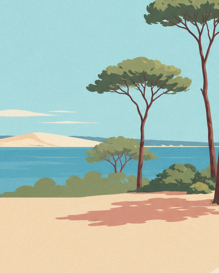Les pins parasols face au bassin bleu et à la dune blanche, avec leur ombre rose sur le sable