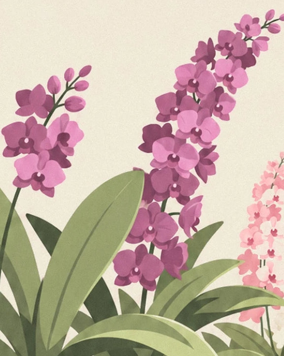 Des hampes d’orchidées mauves au-dessus de larges feuilles vertes