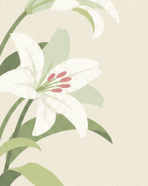 Un lys blanc épanoui et ses étamines roses, entre feuilles vert tendre
