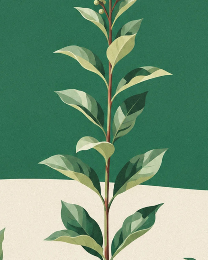 Longue tige feuillue aux tons vert tendre, sur fond vert profond et crème