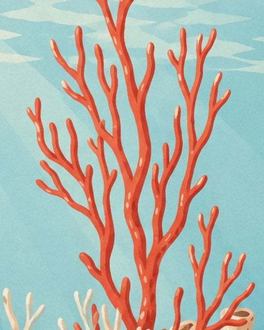 The slender branches of an orange-red coral against a turquoise-blue background