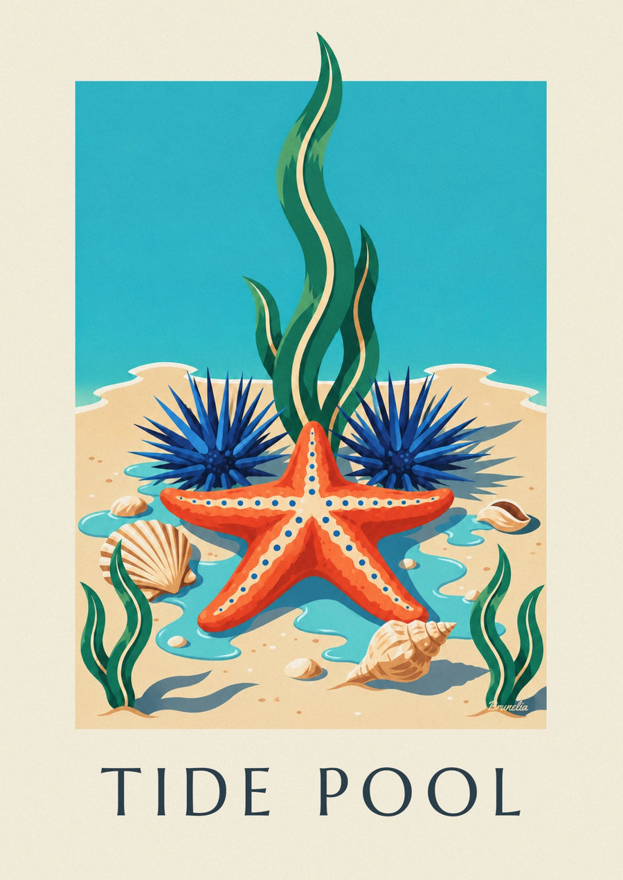 Cape coast starfish and marine life poster