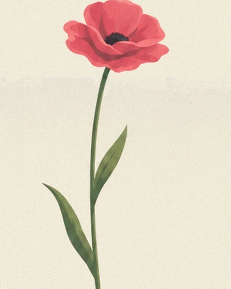 Un coquelicot rouge au cœur sombre, sur une longue tige aux feuilles vertes
