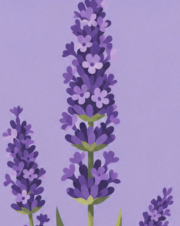 Un grand épi de lavande violet sur son ciel mauve, avec 2 épis plus petits à ses côtés
