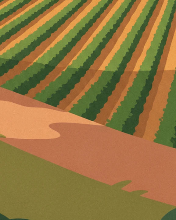 Les rangs de vigne verts sur terre ocre, qui dévalent la pente jusqu'au chemin de terre rosée