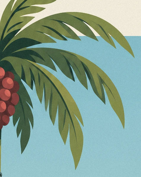 Le lunghe fronde verdi della palma e il grappolo di frutti rossi su sfondo azzurro chiaro