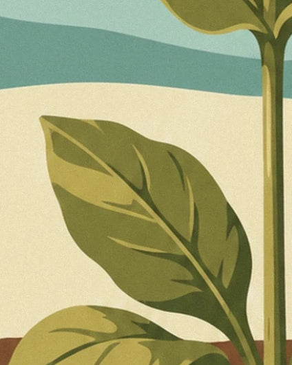 The broad olive-green leaves with pale veins along the stem