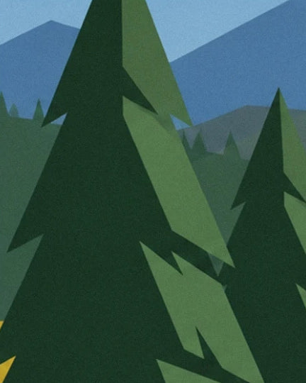Tall fir trees with dark green branches in front of blue-tinged mountains