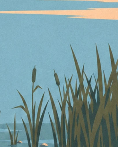 Les roseaux aux longues feuilles et aux épis bruns au bord de l’eau bleue
