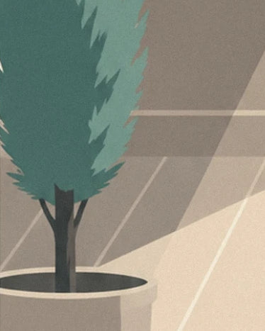 Le petit conifère vert dans son pot beige, sur le parquet baigné de lumière