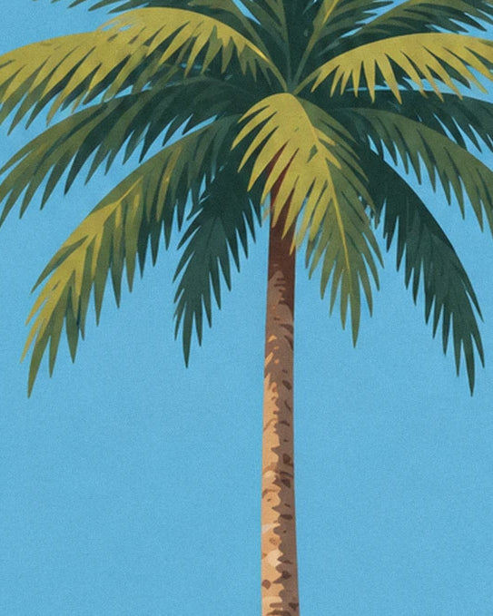 Les longues palmes vertes et dorées d’un palmier sur le ciel bleu de Martinique