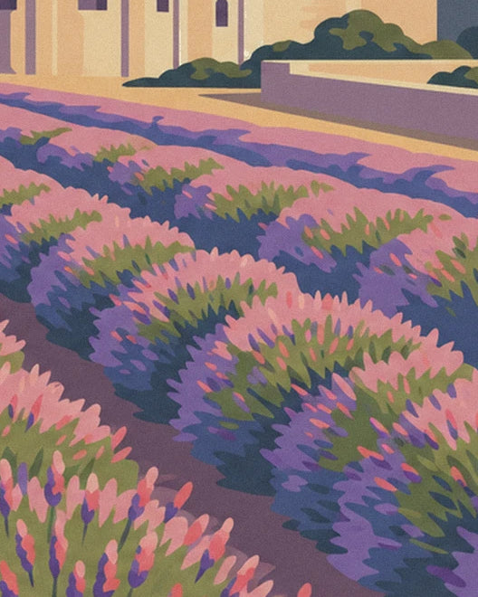 Les rangs de lavande en fleurs, roses et violets, qui s'étirent jusqu'au mur de l'abbaye