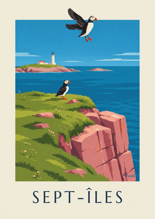 Poster mit Papageitauchern auf den Klippen der Sept-Îles: das ganze Poster