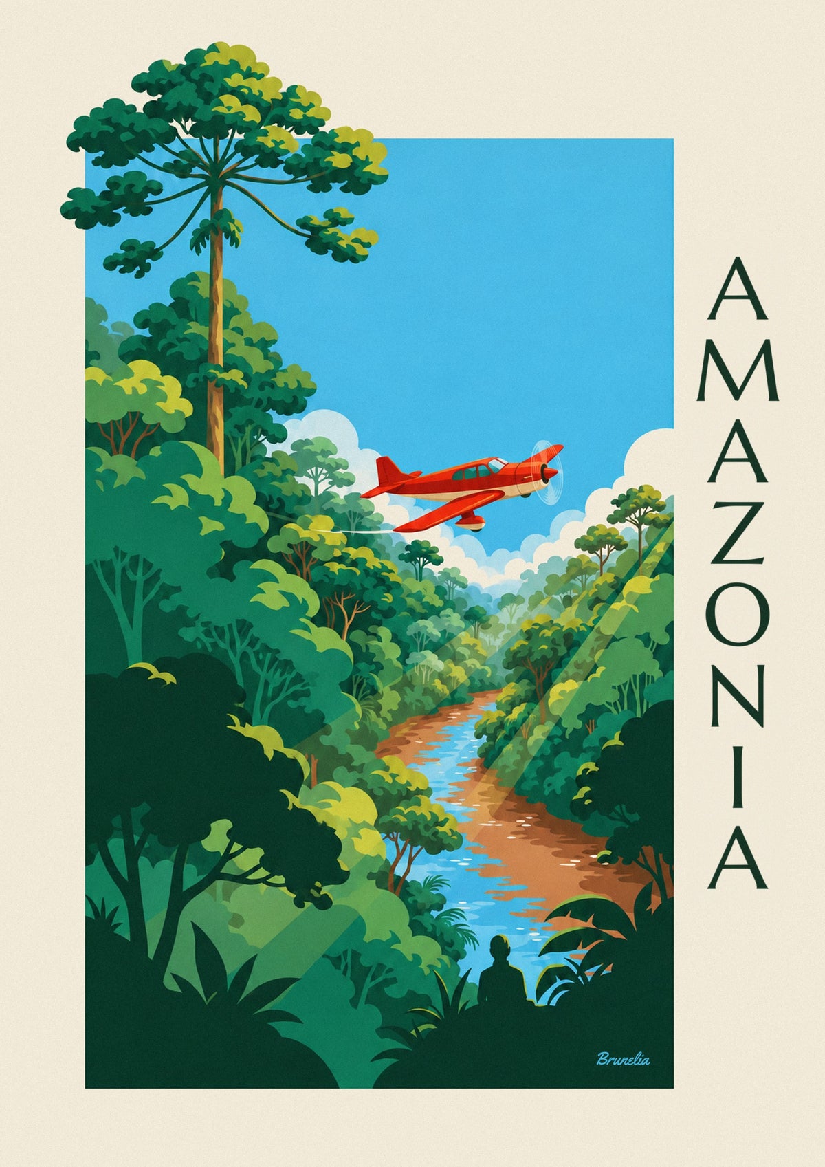 Poster Propellerflugzeug über dem Amazonas-Regenwald