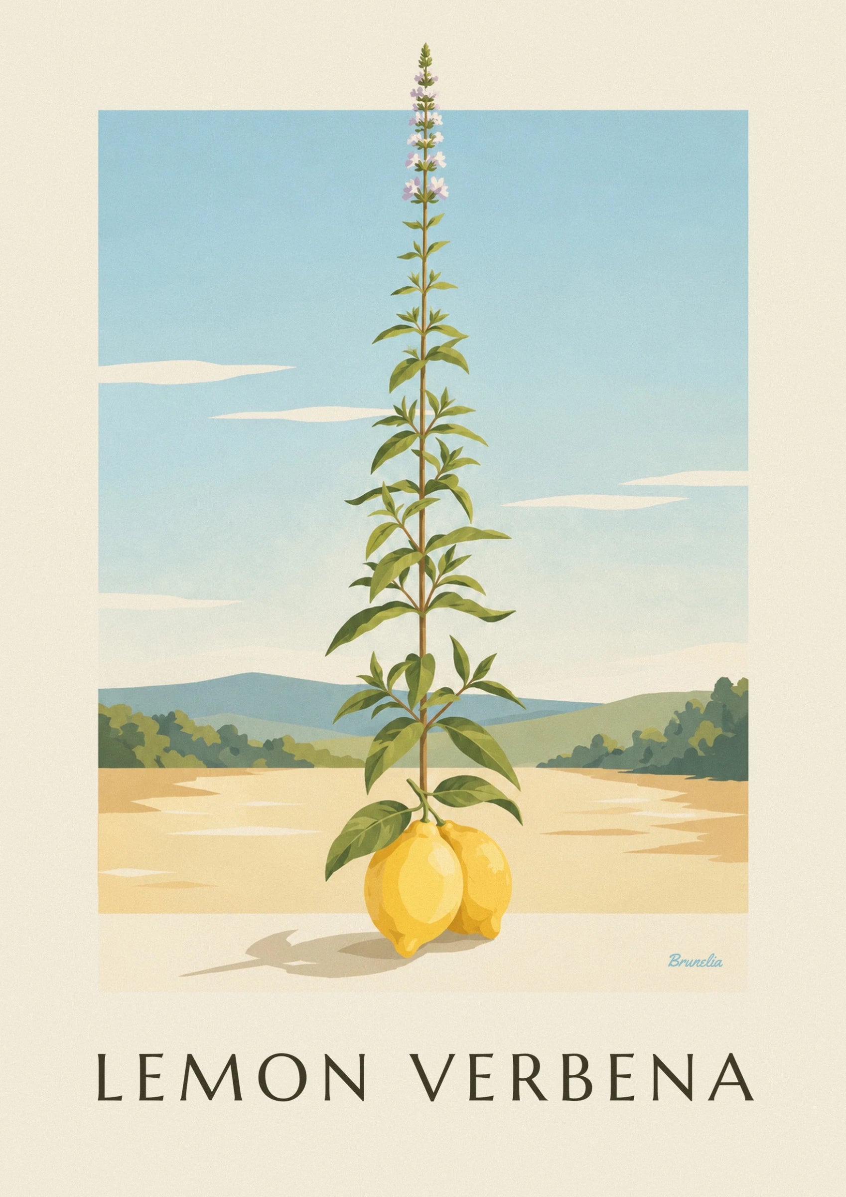 Les 2 citrons jaunes sous leurs feuilles vertes, devant des collines bleutées