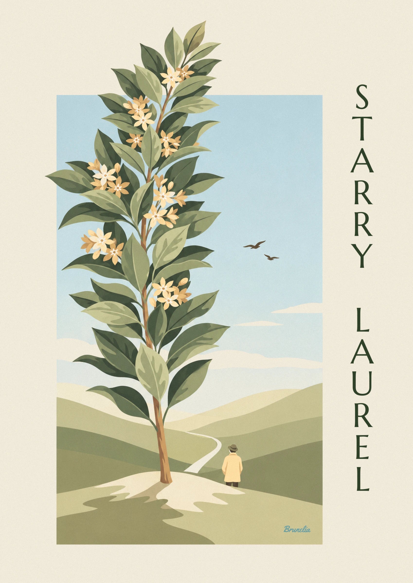Les fleurs étoilées jaune pâle et crème sur leurs branches de laurier, parmi les grandes feuilles vertes
