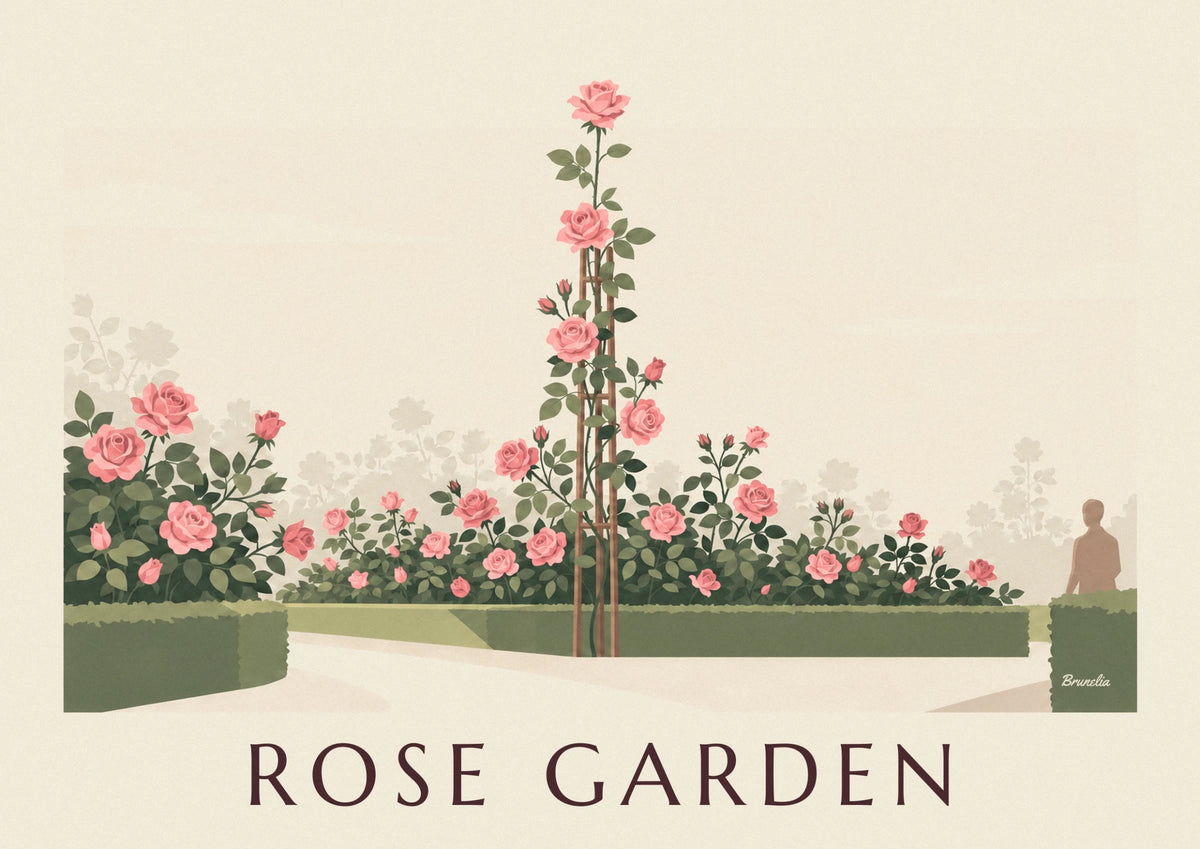 Botanical engraving climbing rose poster