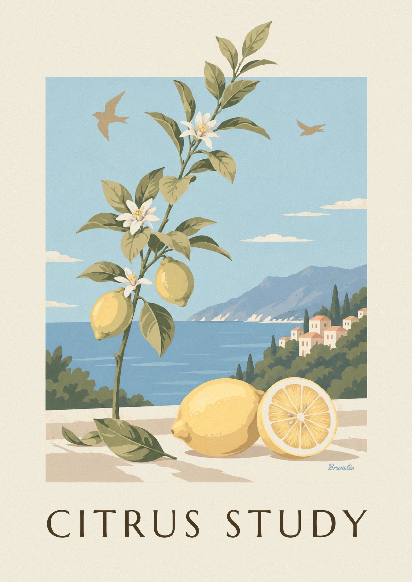 A lemon branch with 2 yellow lemons and white blossom, facing the sea