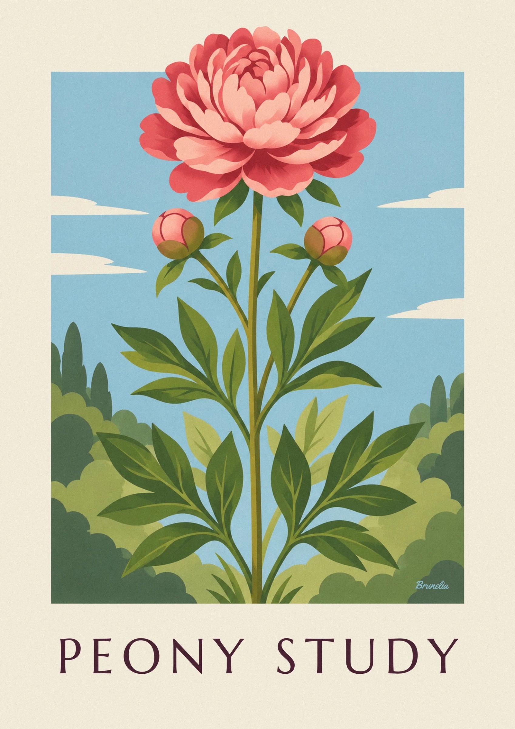 A pink peony in full bloom and its 2 buds on stems with green foliage