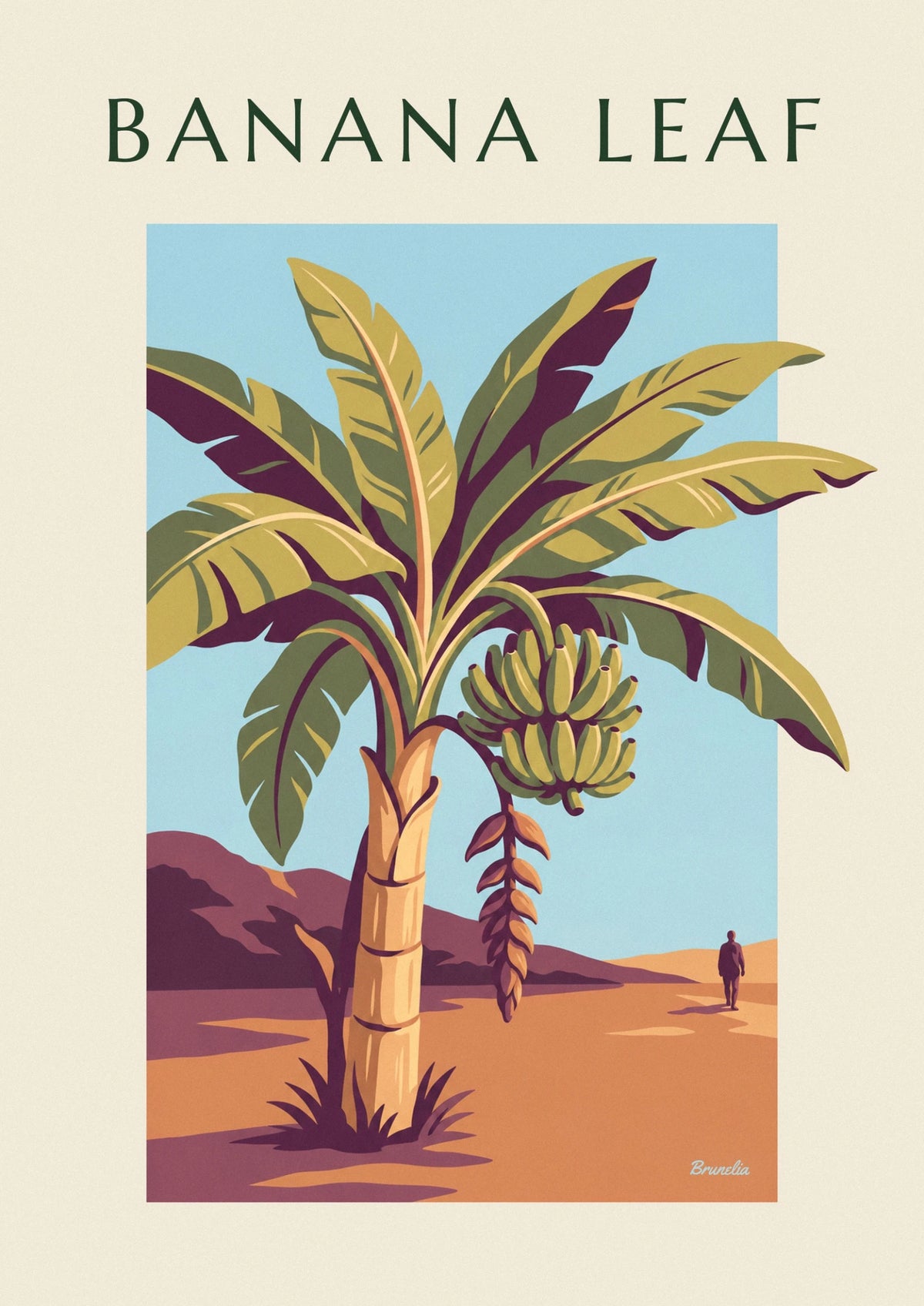 Affiche planche botanique du bananier et ses fruits