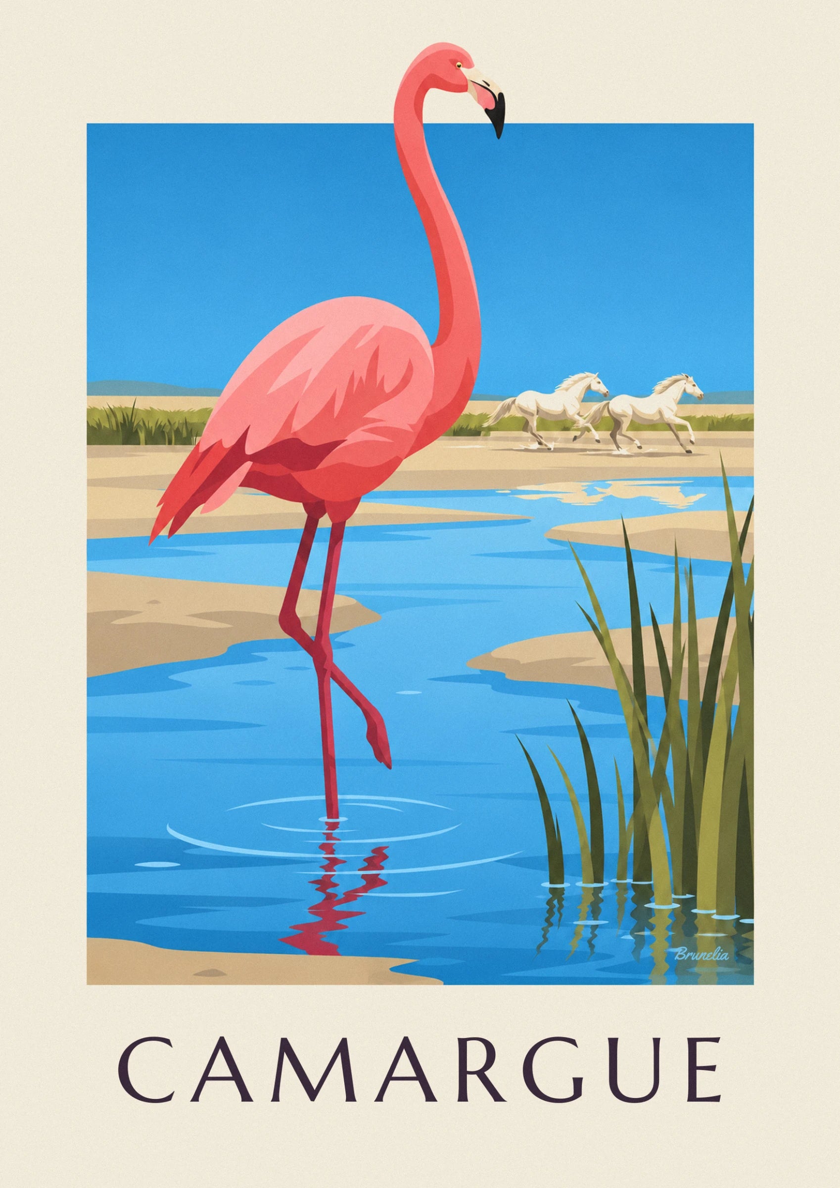 The pink flamingo in the shallow water, and 2 white horses galloping along the shore