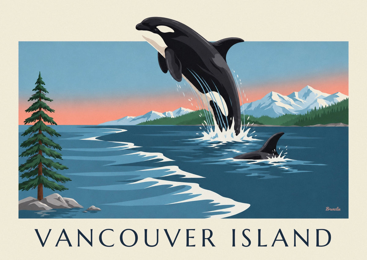 Orca and Vancouver Island mountains in Canada poster